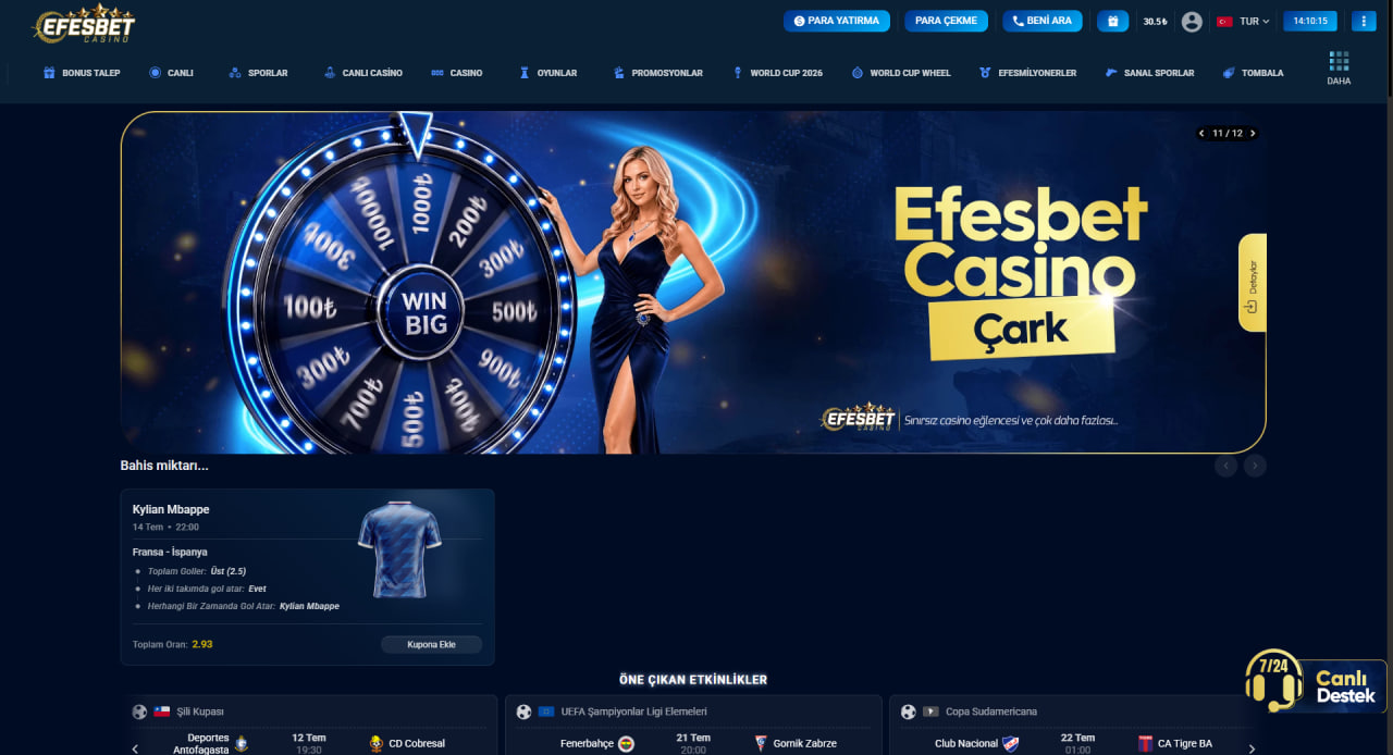 Efesbet Popüler Bahis Seçenekleri görseli